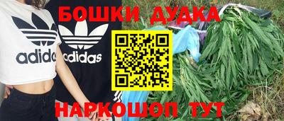 кокс Нальчик