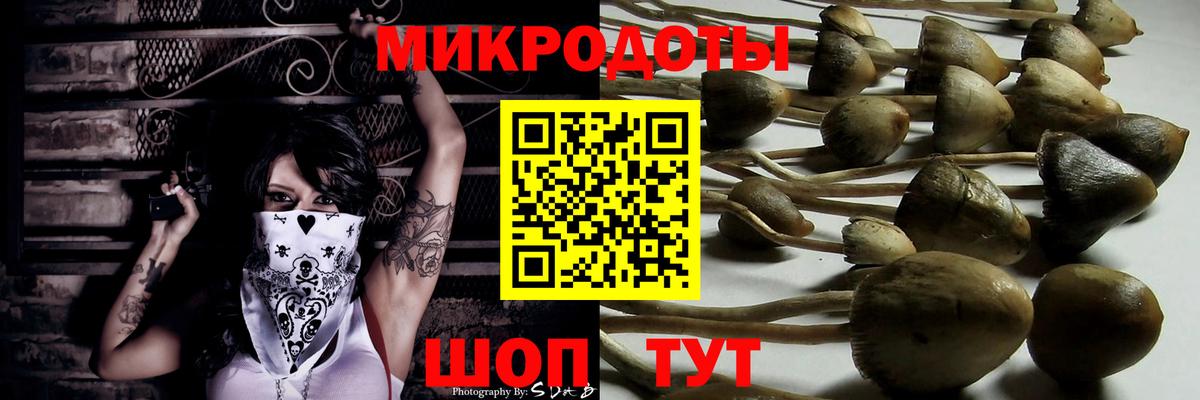 Тара  Галлюциногенные грибы ЛСД  Псилоцибиновые грибы MAGIC MUSHROOMS  Вход с VPN 
